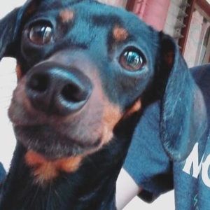 Meet your Posher, Julia